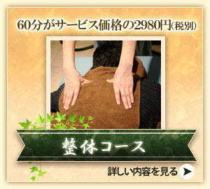 整体コース
